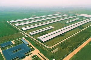 Vinamilk mở rộng đầu tư vào miền Tây Nam Bộ