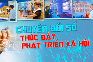 Quyết liệt hoàn thành các nhiệm vụ chuyển đổi số quốc gia - Đề án 06