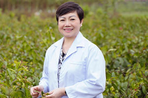 Nhà khoa học Nguyễn Phương Dung - Chủ tịch HĐQT Công ty CP Thương mại Kiềm Saphia Pharma: Tự hào đưa thương hiệu Việt ra thế giới