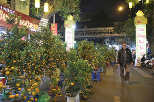 Chợ hoa Tết đìu hiu vì Covid-19
