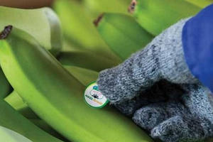 Công ty bầu Đức thay đổi ra sao sau quý đầu tiên bắt tay Thaco?