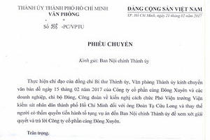Vụ chìm ca nô tại Cần Giờ: Cần thay người tiến hành tố tụng để tránh oan sai