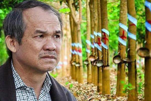 Giá cao su bật tăng "ác liệt", hơn 17.000ha sắp khai thác của Bầu Đức sẽ cho lợi khủng?