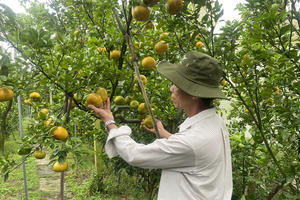 11 tháng, xuất khẩu nông, lâm, thủy sản vượt kỷ lục năm 2024