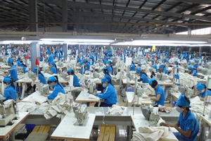 Thủ tướng đồng ý hạ tiêu chí cho doanh nghiệp vay gói 16.000 tỷ trả lương