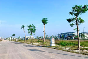 Khu vực nào có giá đất cao nhất tỉnh Bắc Giang?