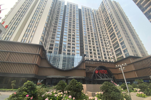 Căn hộ đậm chất Nhật Bản ngay giữa trung tâm Hà Nội