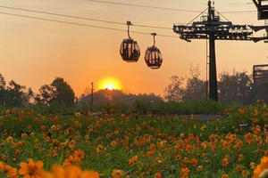 Ngỡ ngàng trước khung cảnh đẹp mê mẩn của khu du lịch Bà Đen những ngày này