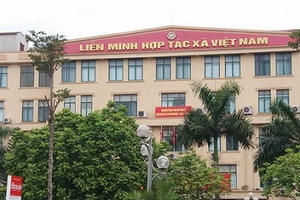 Vinagimex sử dụng con dấu trái luật để XKLĐ: Cơ quan chức năng “đá bóng”, người khiếu nại mệt mỏi?