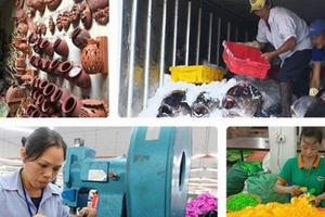 Người lao động khóc ròng vì Covid-19