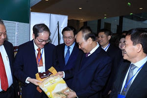 Hapro tập trung nguồn lực sau cổ phần hoá