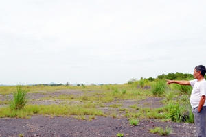 Chấm dứt dự án Bắc Cầu Bang giai đoạn 2: Hàng trăm nạn nhân mong lãnh đạo tỉnh Quảng Ninh cứu giúp