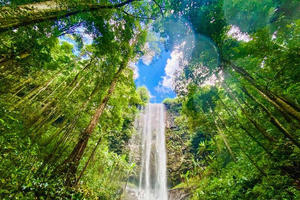 Quảng Ngãi mời đầu tư 3 dự án khu đô thị ở Măng Đen, tổng vốn đầu tư gần 26.500 tỷ đồng