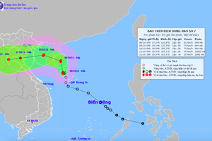 Bão số 7 hình thành trên biển Đông, gió giật cấp 8, hướng vào vịnh Bắc Bộ