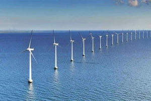 Thí điểm giao các tập đoàn, tổng công ty nhà nước phát triển điện gió ngoài khơi