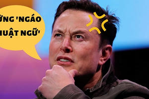 Elon Musk cũng ngán ngẩm tình trạng "ngáo thuật ngữ" tại Tesla