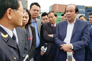 Vụ 24.000 container tồn ở cảng: Rào cản vô tình giết chết doanh nghiệp