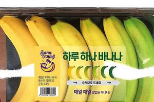 Ý tưởng kinh doanh hộp chuối chín dần đều gây tranh cãi ở Hàn Quốc