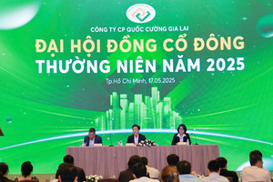 ĐHĐCĐ Quốc Cường Gia Lai (QCG) đặt mục tiêu lợi nhuận 300 tỷ đồng năm 2025, trình cổ đông việc đổi tên công ty
