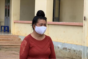 Sơn La: Khởi tố đối tượng tổ chức cho người khác nhập cảnh trái phép vào Việt Nam