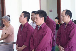 Nhóm lừa đảo kiểu đa cấp lãnh án 50 năm tù