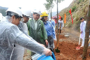 EVN làm thủy điện không quên trồng rừng