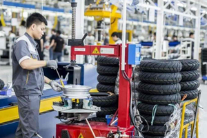 Kinh tế tư nhân phải là lực lượng tiên phong trong kỷ nguyên mới