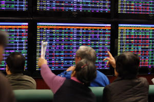 Khi những tay mơ chơi chứng khoán