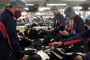 Hàng Việt Nam có xuất xứ “lèm nhèm” không được chấp nhận trong EVFTA