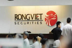 Tổng giám đốc Kido Group Trần Lệ Nguyên rút khỏi HĐQT Chứng khoán Rồng Việt