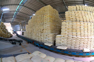 Giá gạo Việt xuất khẩu cao nhất thế giới