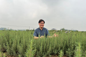 CEO Kiều Đình Lương - Phát triển sản phẩm thảo dược bền vững phải đi từ phát triển vùng trồng