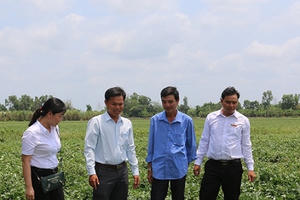 Hợp tác “3N” ở miền Tây