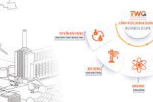 TWGroup và hệ sinh thái giáo dục nợ bảo hiểm xã hội lên tới gần chục tỷ đồng tại TP.HCM