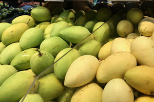 Xoài dẫn đầu hoa quả nhập khẩu vào Hoa Kỳ