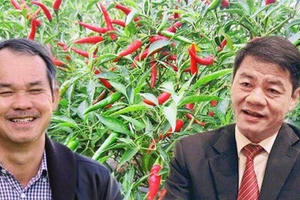 Trần Bá Dương "bơm" 20.000 tỷ giúp bầu Đức: Cơ cấu lại nợ, vực dậy nông nghiệp, hoàn thành dự án BĐS ở Myanmar