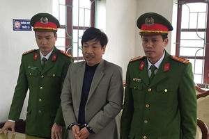 Hà Tĩnh: Vụ chặt phá hàng chục hecta rừng, bắt một giám đốc doanh nghiệp