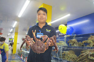 Doanh nghiệp dè dặt nhập hàng bán Tết