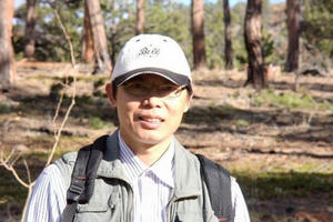 Bộ NN&PTNT chính thức lên tiếng về cây đàn hương Ấn Độ