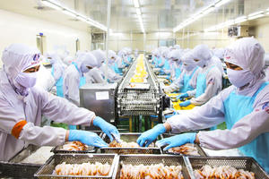 Doanh nghiệp sợ… hậu kiểm