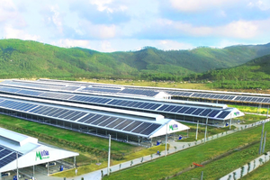 “Tổ hợp Thiên đường sữa Mộc Châu”: Kỳ quan Tây Bắc