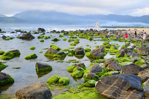 Đà Nẵng: Phê duyệt Quy hoạch chi tiết Công viên sinh thái và Quảng trường phía Nam ghềnh Nam Ô