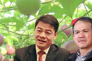 Lý do bầu Đức liên tục bán tài sản