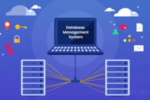 Nguyên tắc cập nhật, kết nối, khai thác và quản lý cơ sở dữ liệu chuyên ngành Nội vụ