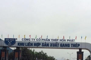 Hòa Phát đang dẫn đầu thị phần thép xây dựng