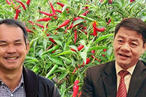 Sau cú bắt tay với Thaco, Bầu Đức được gì và mất gì?