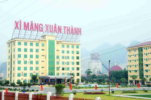 Xi măng Xuân Thành chi gần 90 tỷ đồng thanh toán lãi trái phiếu