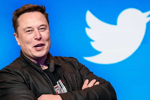 Người dùng Twitter bình chọn để Elon Musk từ chức