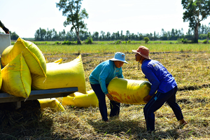 Lợi nhuận ngành gạo quý 2/2025 phân hóa mạnh: Doanh nghiệp lớn trụ vững, nhóm yếu kém lún sâu vào khủng hoảng