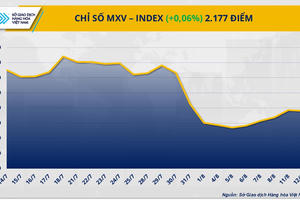 Cung - cầu giằng co, giá hàng hóa thế giới phân hóa